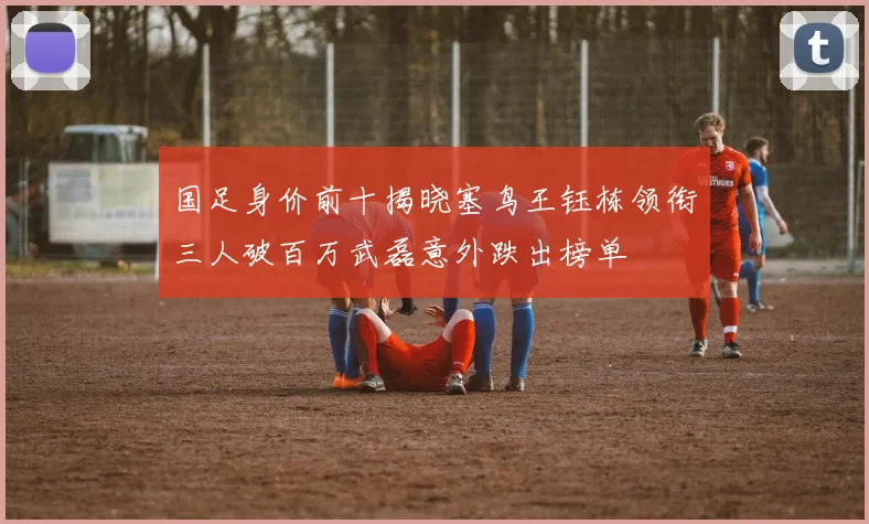国足身价前十揭晓塞鸟王钰栋领衔三人破百万武磊意外跌出榜单