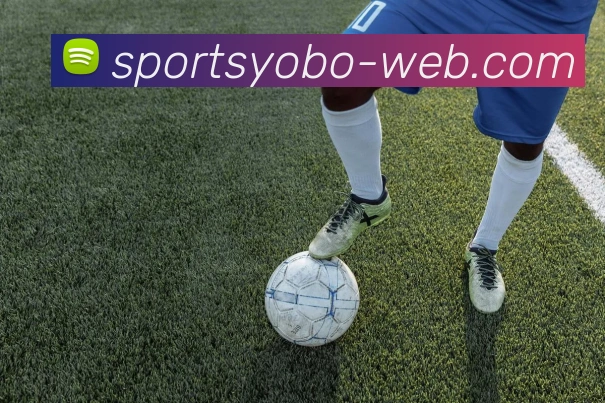 yobo体育发展历程